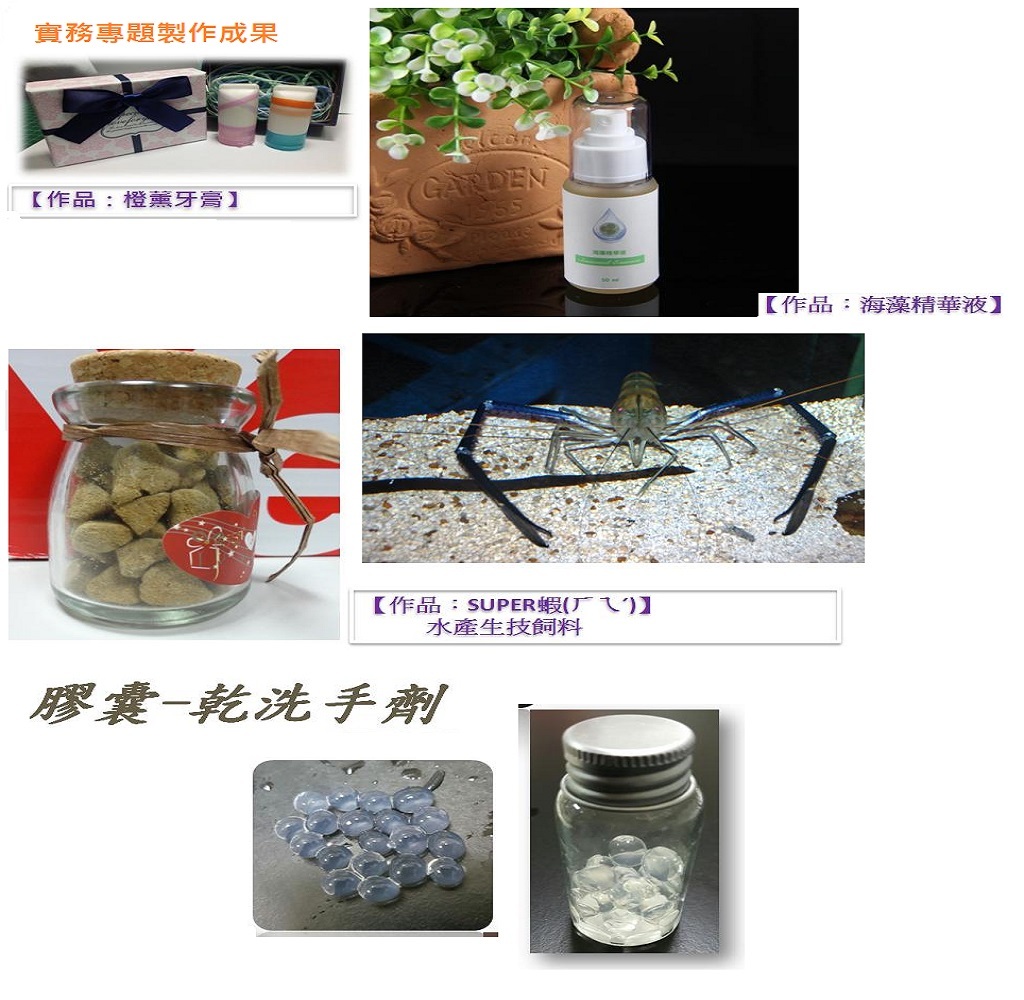 實務專題製作作品