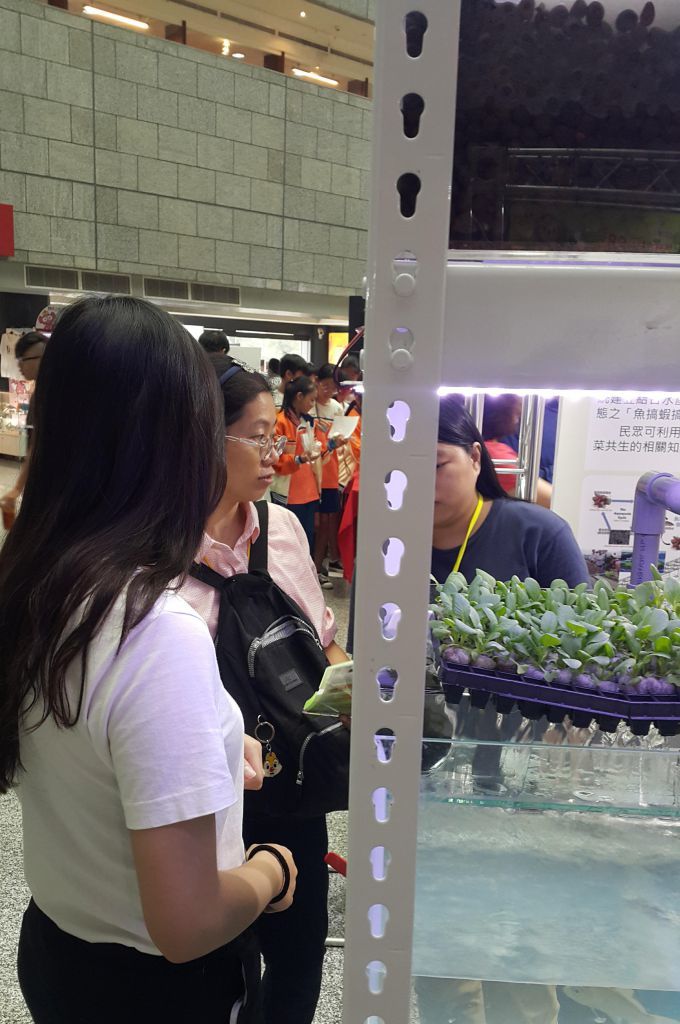 圖片五