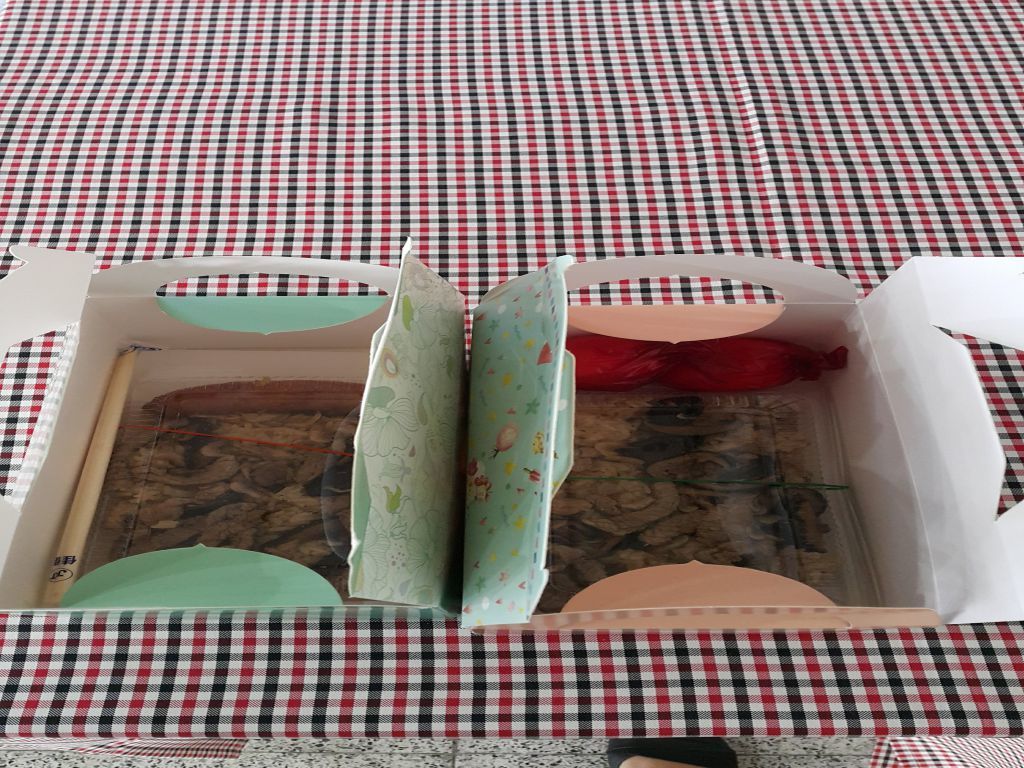 圖片五