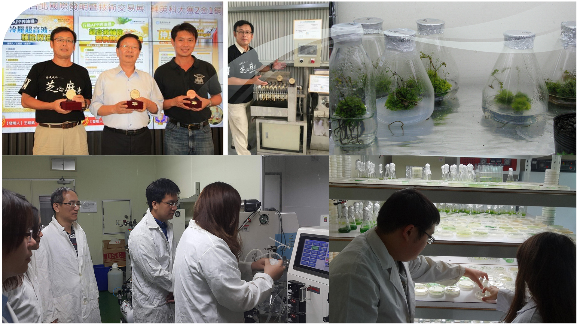 第 一 金 麻吉 忘记 密码 (99) 사진